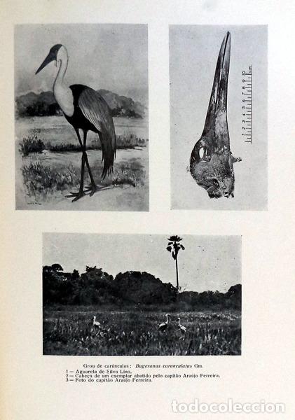 Libros antiguos: ESTUDOS DE ZOOLOGIA. - Foto 2