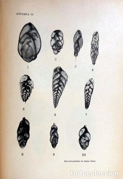 Libros antiguos: ESTUDOS DE ZOOLOGIA. - Foto 3