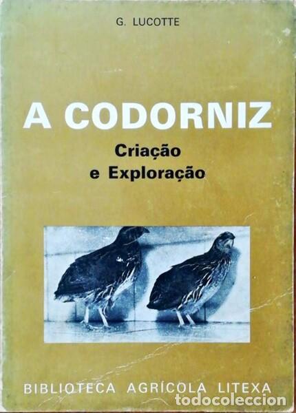 Libros antiguos: LUCOTTE. (G.) - A CODORNIZ, CRIA&Ccedil;&Atilde;O E EXPLORA&Ccedil;&Atilde;O. [1.&ordf; EDI&Ccedil;&Atilde;O] - Foto 1