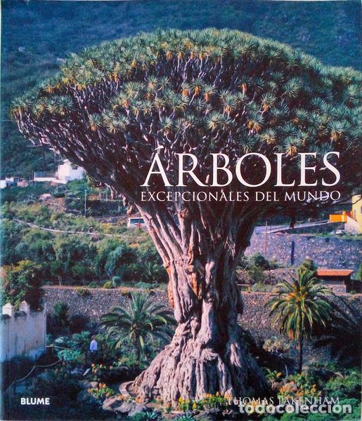 Libros antiguos: PAKENHAM. (Thomas) - &Aacute;RBOLES EXCEPCIONALES DEL MUNDO. - Foto 1