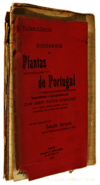 Libros antiguos: AUGUSTO DOS SANTOS. (A.) - EXPERIENCIAS DE BOT&Acirc;NICA. [MANUSCRITO] - Foto 2