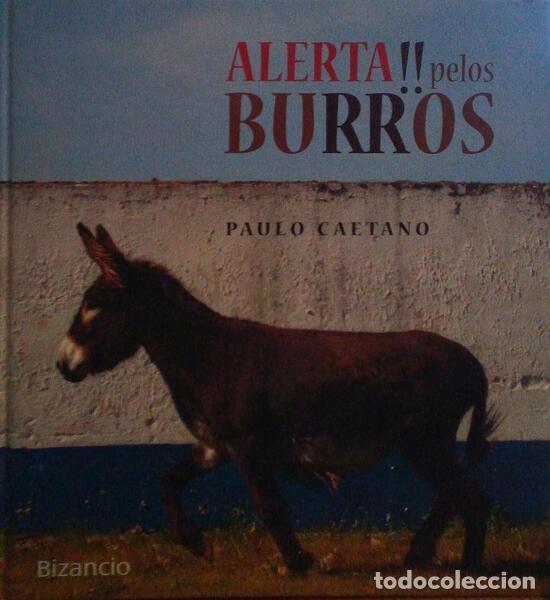 Libros antiguos: CAETANO. (Paulo) - ALERTA !! PELOS BURROS. - Foto 1