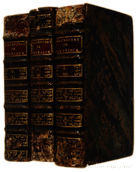 Libros antiguos: D&Eacute;MONSTRATIONS &Eacute;L&Eacute;MENTAIRES DE BOTANIQUE. - Foto 4
