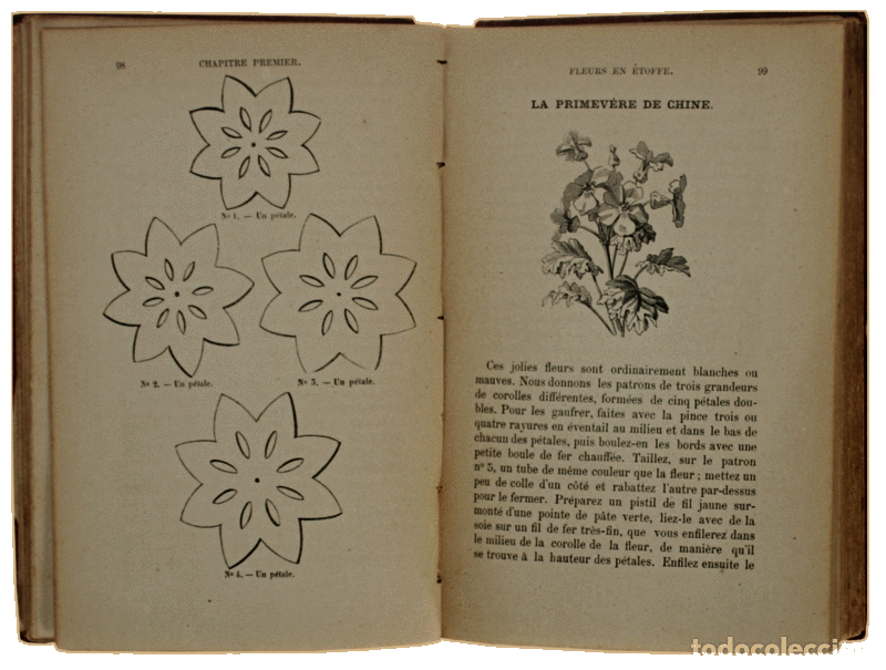 Libros antiguos: VERBOOM. (Agn&egrave;s) - NOUVEAU MANUEL DES FLEURS. - Foto 3