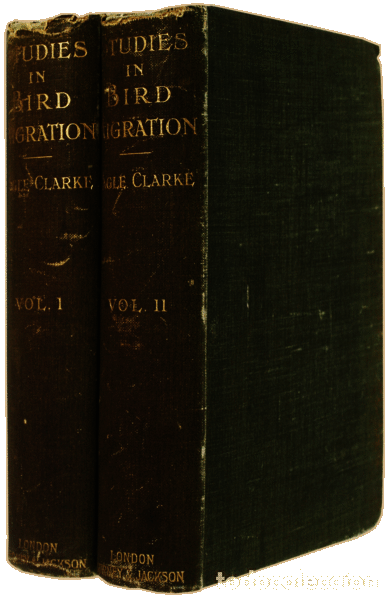 Libros antiguos: EAGLE CLARKE. (William) - STUDIES IN BIRD MIGRATION. [2 Vols.] - Foto 3