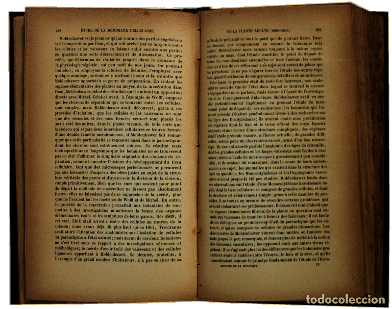 Libros antiguos: SACHS. (Julius von) - HISTOIRE DE LA BOTANIQUE. - Foto 2