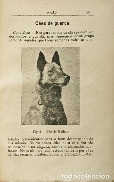 Libros antiguos: VALDEZ. (Jos&eacute;) - O C&Atilde;O. - Foto 2