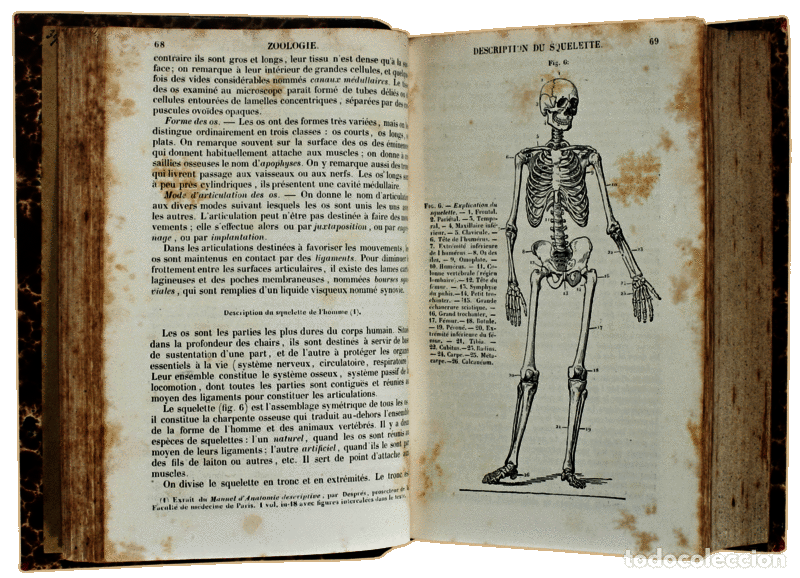 Libros antiguos: BOUCHARDAT. (A.) - HISTOIRE NATURELLE. - Foto 2