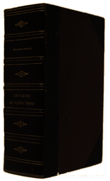 Libros antiguos: VILMORIN. (Philippe L. de) - LES FLEURS DE PLEINE TERRE. - Foto 3