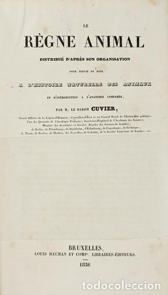Libros antiguos: CUVIER. (Georges) - LE R&Egrave;GNE ANIMAL. - Foto 1