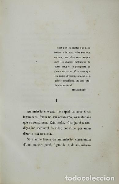 Libros antiguos: OLIVEIRA DAVID. (Ant&oacute;nio Ven&acirc;ncio de) - ASSIMILA&Ccedil;&Atilde;O VEGETAL. - Foto 2