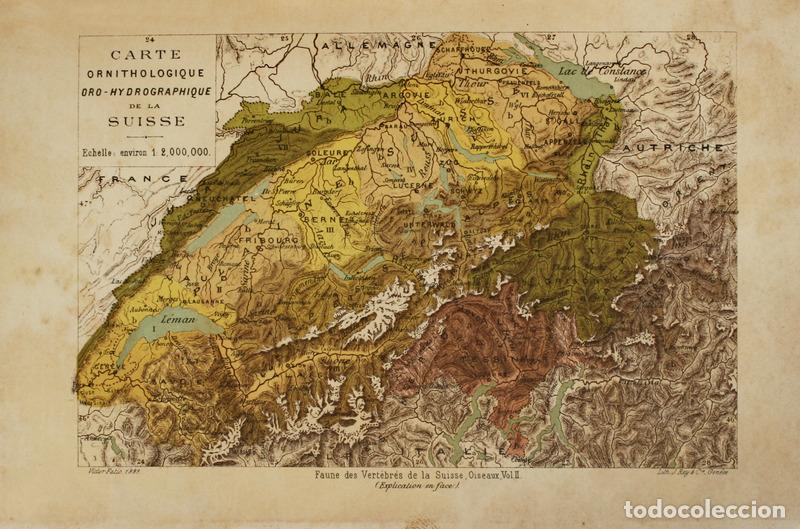 Libros antiguos: FATIO. (Victor) - FAUNE DES VERT&Eacute;BR&Eacute;S DE LA SUISSE. - Foto 2