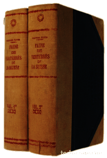 Libros antiguos: FATIO. (Victor) - FAUNE DES VERT&Eacute;BR&Eacute;S DE LA SUISSE. - Foto 4