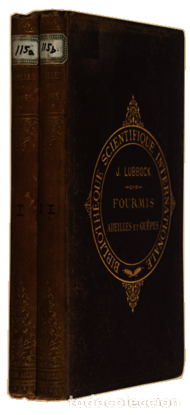 Libros antiguos: LUBBOCK. (John) - FOURMIS, ABEILLES ET GU&Ecirc;PES. - Foto 3