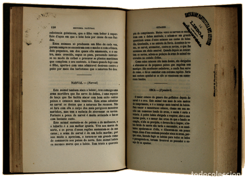 Libros antiguos: FERNANDES. (Maria Isabel) - HISTORIA NATURAL. - Foto 2