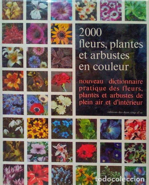 Libros antiguos: HAY. (Roy) e Patrick M. Synge. - 2000 FLEURS, PLANTES ET ARBUSTES EN COULEUR. - Foto 1