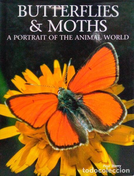 Libros antiguos: STERRY. (Paul) - BUTTERFLIES & MOTHS. - Foto 1