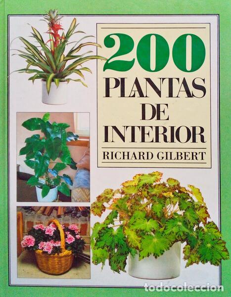 Libros antiguos: GILBERT. (Richard) - 200 PLANTAS DE INTERIOR. - Foto 1