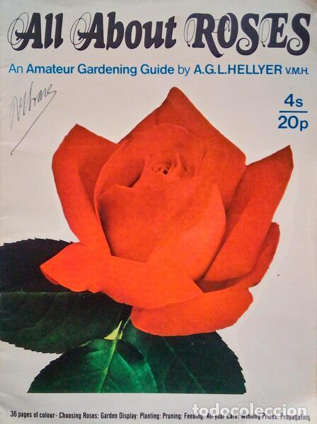 Libros antiguos: HELLYER. (A.G.) - ALL ABOUT ROSES. - Foto 1