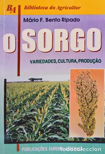 Libros antiguos: BENTO RIPADO. (M&aacute;rio F.) - O SORGO. - Foto 1