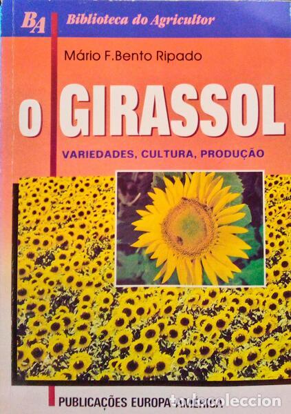 Libros antiguos: BENTO RIPADO. (M&aacute;rio F.) - O GIRASSOL. - Foto 1