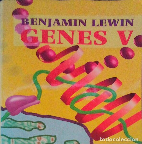 Libros antiguos: LEWIN. (Benjamin) - GENES V. - Foto 1