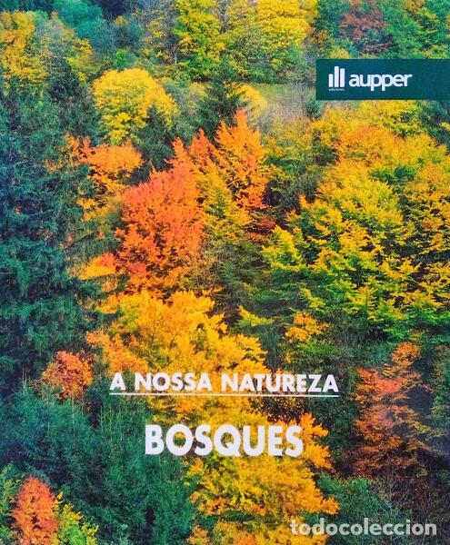 Libros antiguos: PARDO. (Miguel) - BOSQUES DA PEN&Iacute;NSULA IB&Eacute;RICA. - Foto 1