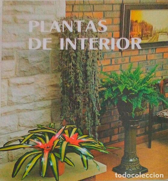 Libros antiguos: OOM DE SOUSA. (Jorge) - PLANTAS DE INTERIOR. - Foto 1