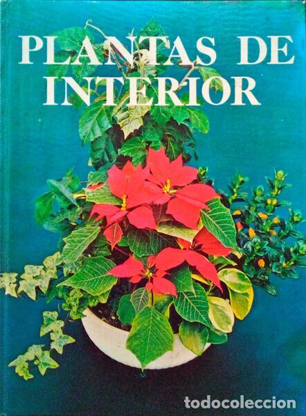 Libros antiguos: GUILL&Eacute;N ANDREU. (Roberto) - PLANTAS DE INTERIOR. - Foto 1