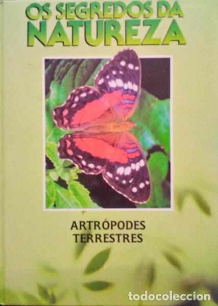 Libros antiguos: ALONSO. (Josefa) - ARTR&Oacute;PODES TERRESTRES. - Foto 1