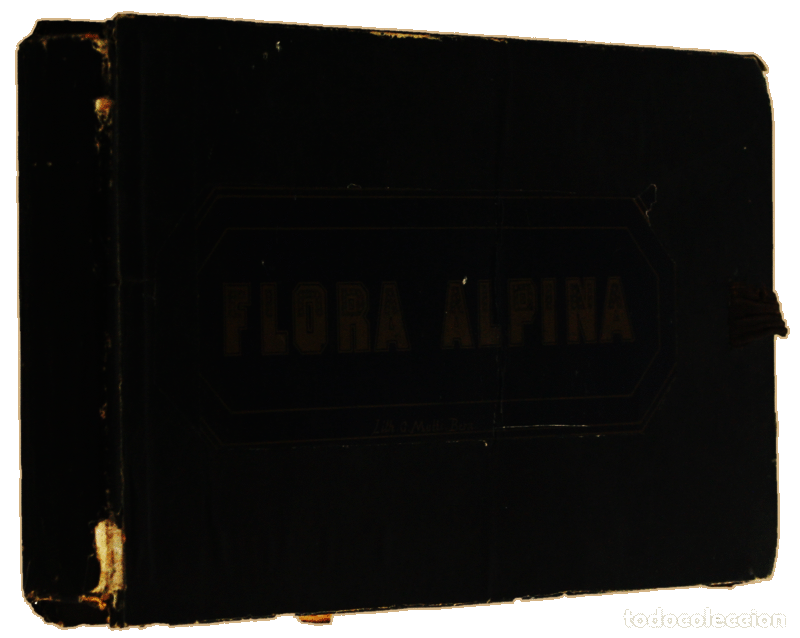 Libros antiguos: FLORA ALPINA. [HERB&Aacute;RIO] - Foto 4