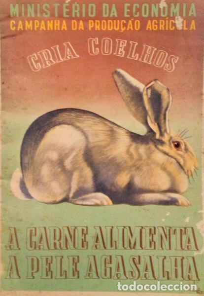 Libros antiguos: FRAN&Ccedil;A E SILVA. (Arm&eacute;nio) - A CRIA&Ccedil;&Atilde;O DO COELHO. - Foto 1