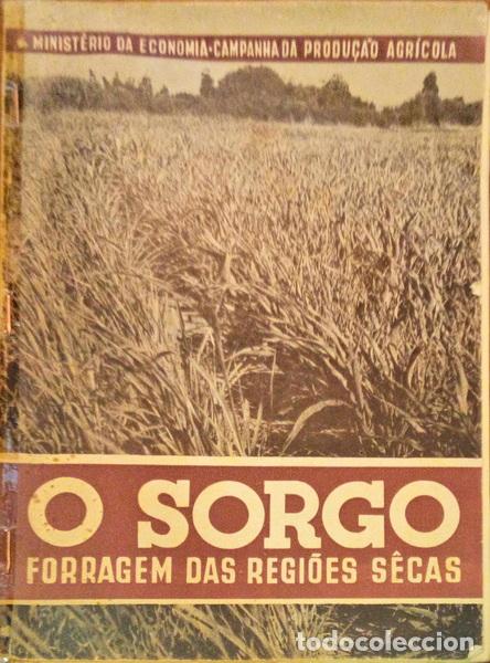 Libros antiguos: SORGO (O), FORRAGEM DAS REGI&Otilde;ES S&Ecirc;CAS. - Foto 1