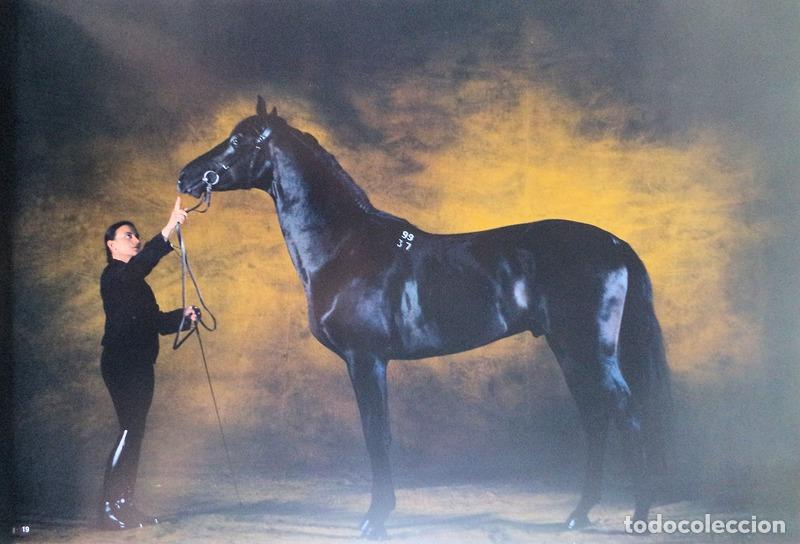 Libros antiguos: ARTHUS-BERTRAND. (Yann) e Jean-Louis Gouraud. - CAVALOS. - Foto 3