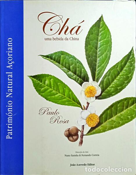 Libros antiguos: ROSA. (Paulo) - CH&Aacute;, UMA BEBIDA DA CHINA. - Foto 1
