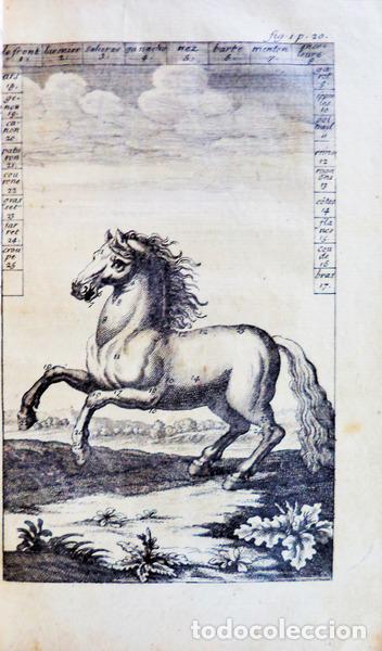 Libros antiguos: LIGER. (Louis) - LA CONNOISSANCE PARFAITE DES CHEVAUX, - Foto 2