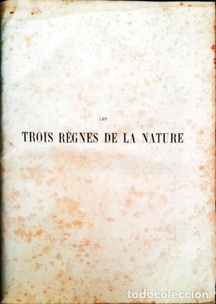 Libros antiguos: LES TROIS R&Egrave;GNES DE LA NATURE. - Foto 1