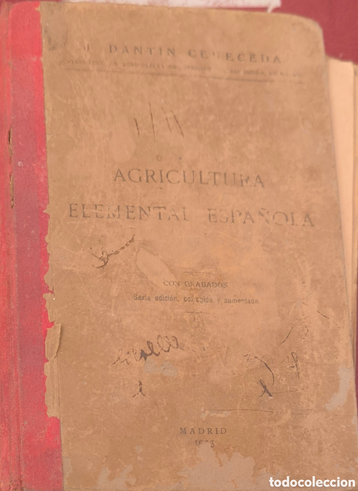 Libros antiguos: Agricultura elemental espa&ntilde;ola - Foto 1