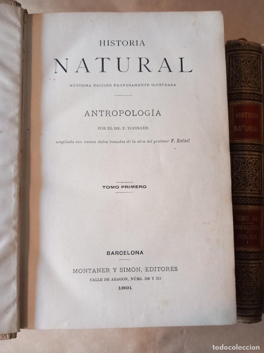Libros antiguos: Historia Natural (13 vols.) - Foto 2