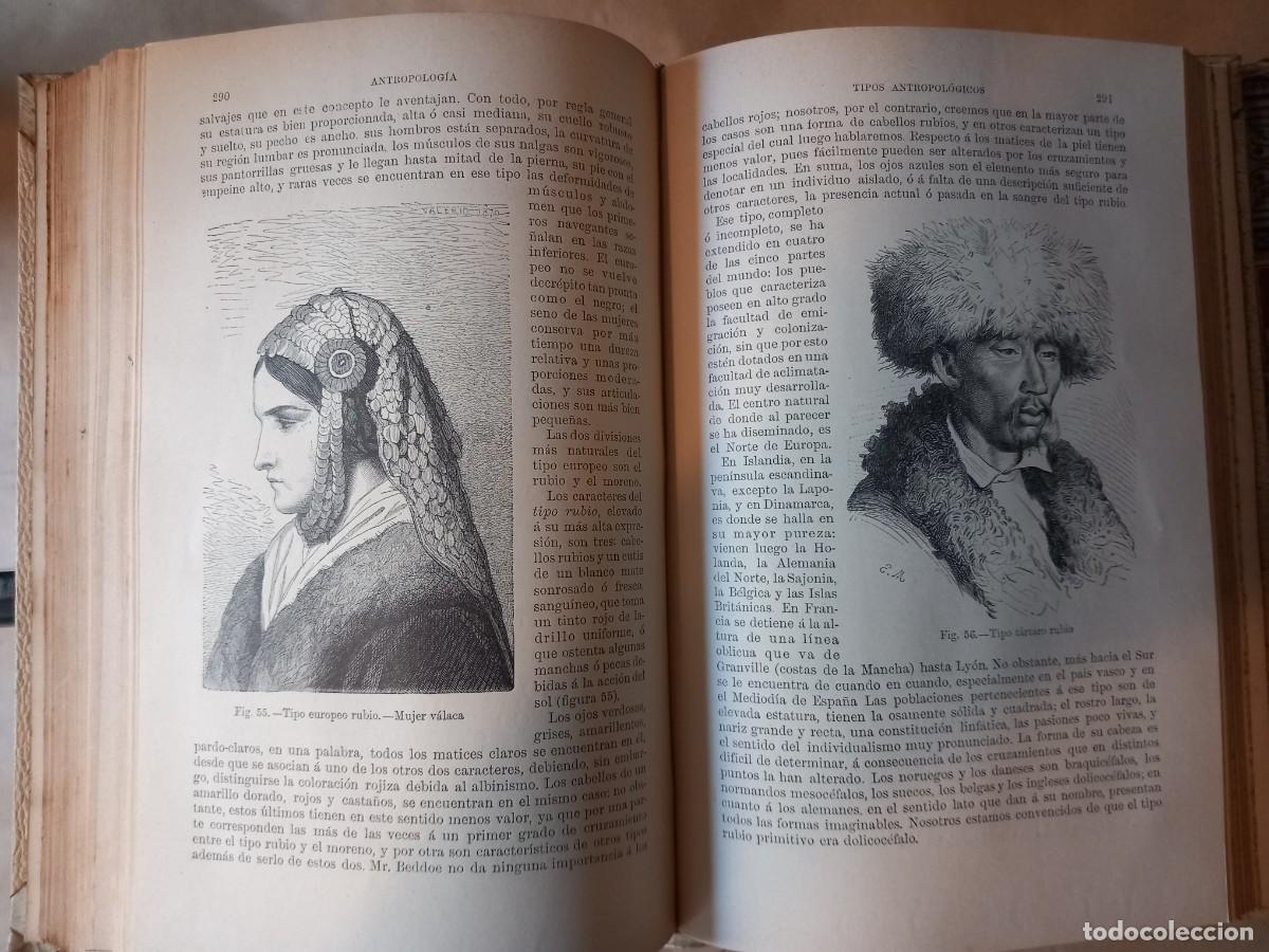 Libros antiguos: Historia Natural (13 vols.) - Foto 3