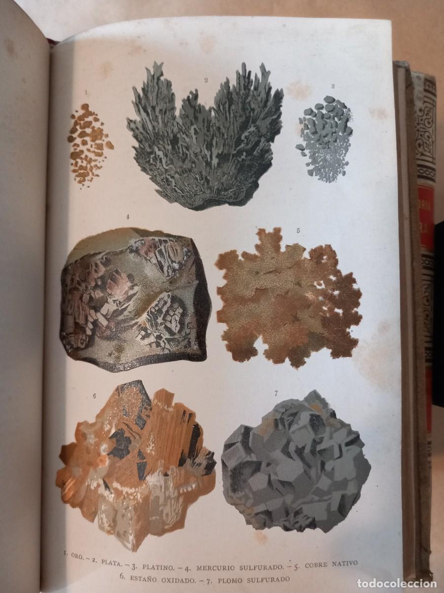 Libros antiguos: Historia Natural (13 vols.) - Foto 10