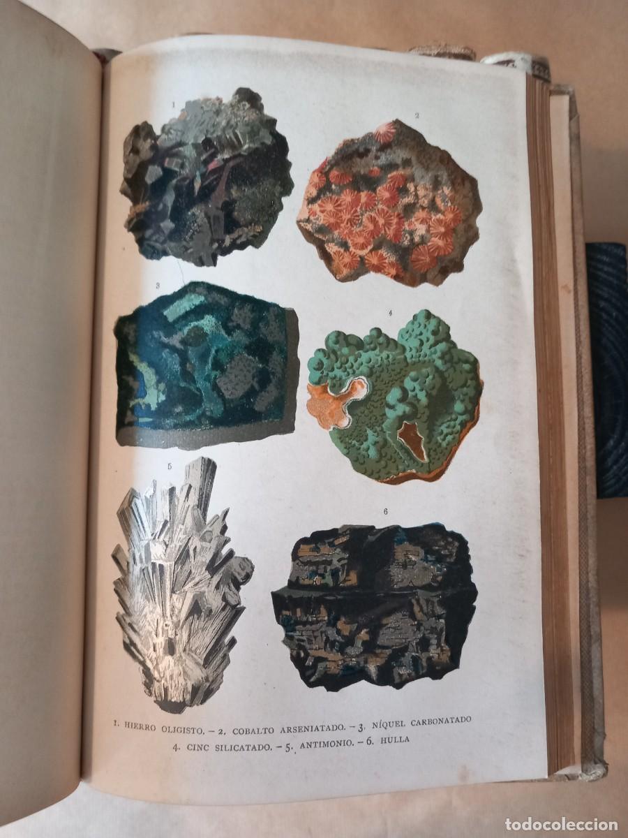 Libros antiguos: Historia Natural (13 vols.) - Foto 11