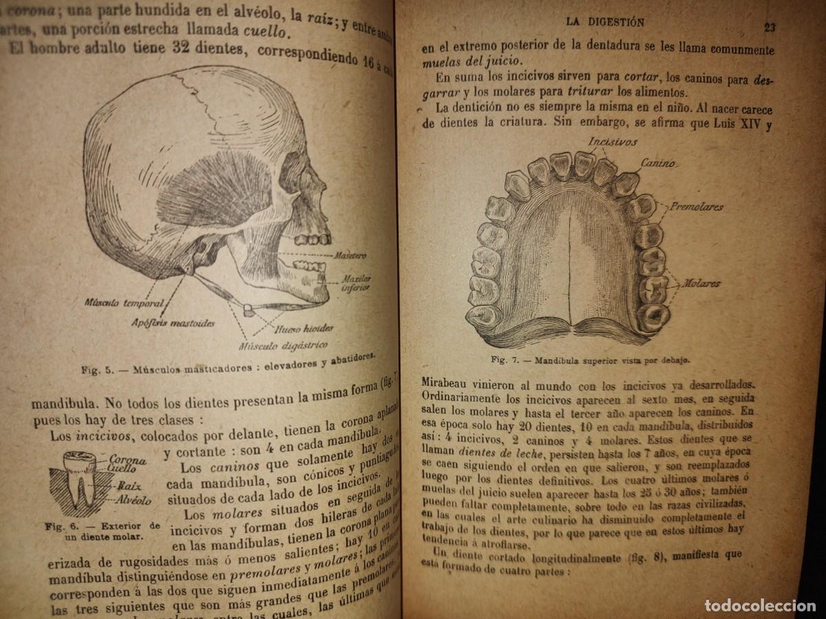 Libros antiguos: 60- HISTORIA NATURAL APLICADA - E. CAUSTIER - 1927 - Foto 11