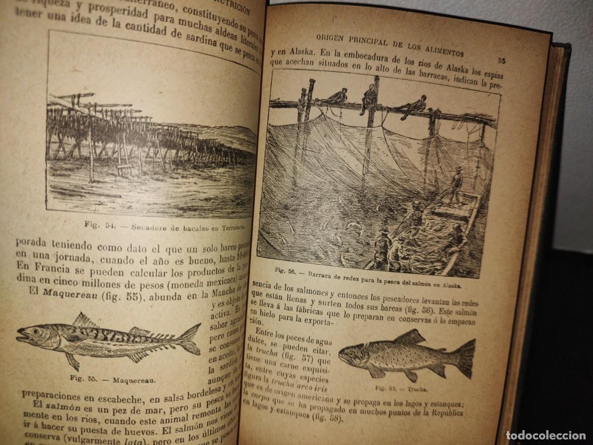 Libros antiguos: 60- HISTORIA NATURAL APLICADA - E. CAUSTIER - 1927 - Foto 14