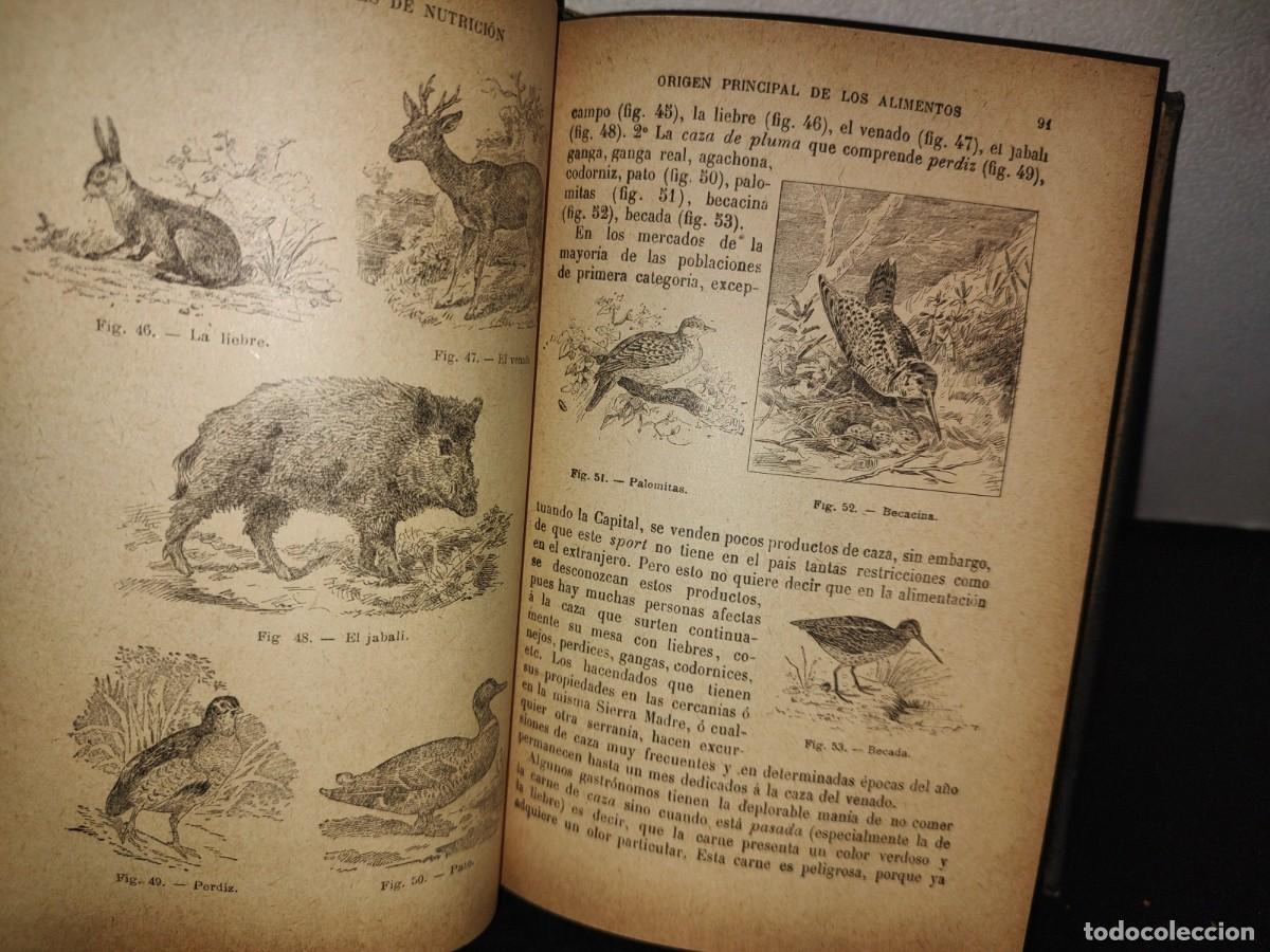 Libros antiguos: 60- HISTORIA NATURAL APLICADA - E. CAUSTIER - 1927 - Foto 15