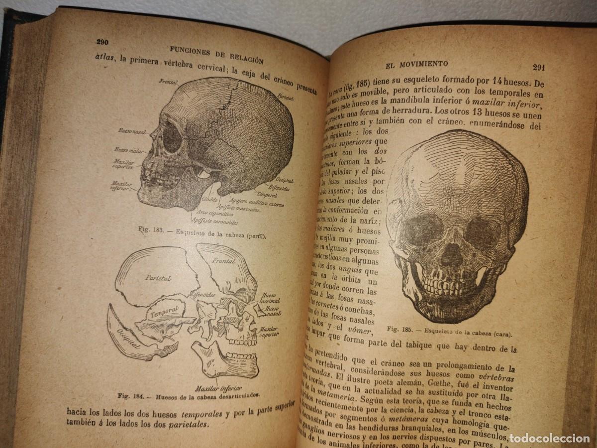Libros antiguos: 60- HISTORIA NATURAL APLICADA - E. CAUSTIER - 1927 - Foto 20