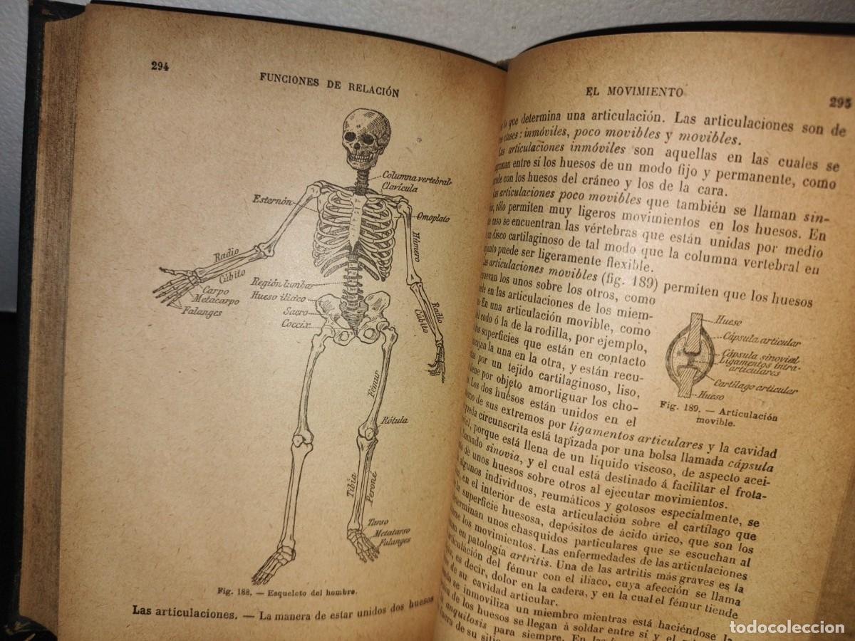 Libros antiguos: 60- HISTORIA NATURAL APLICADA - E. CAUSTIER - 1927 - Foto 21