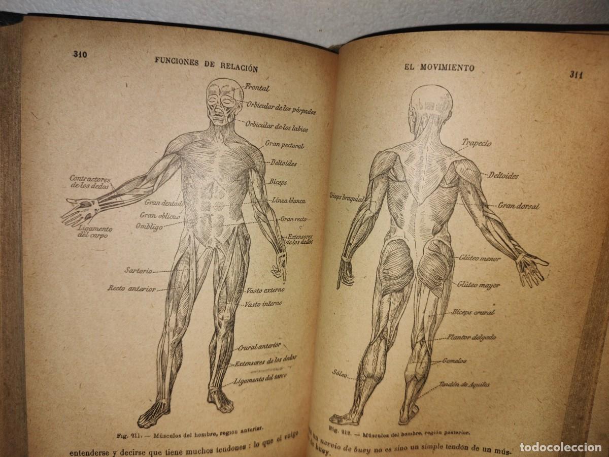 Libros antiguos: 60- HISTORIA NATURAL APLICADA - E. CAUSTIER - 1927 - Foto 25