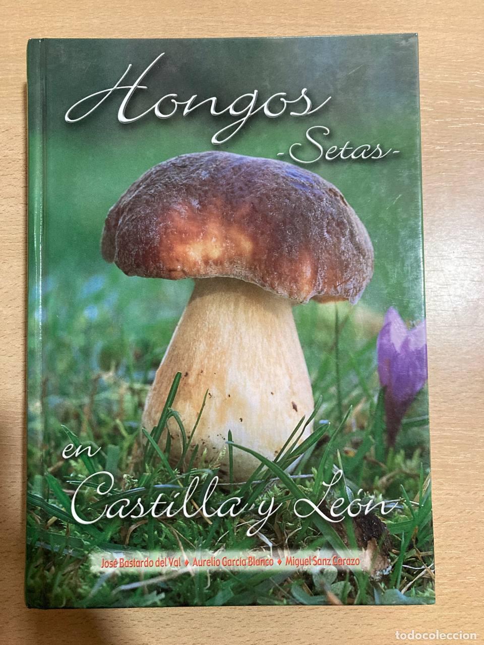 Libros antiguos: Hongos en Castilla y Le&oacute;n - Foto 1