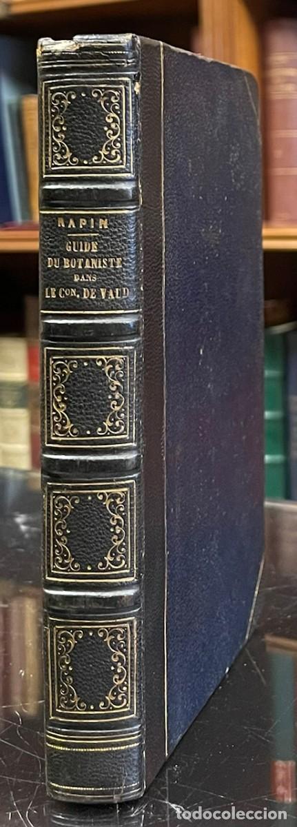 Libros antiguos: Le Guide du Botaniste dans Le Canton de Vaud. Rapin . - Foto 1